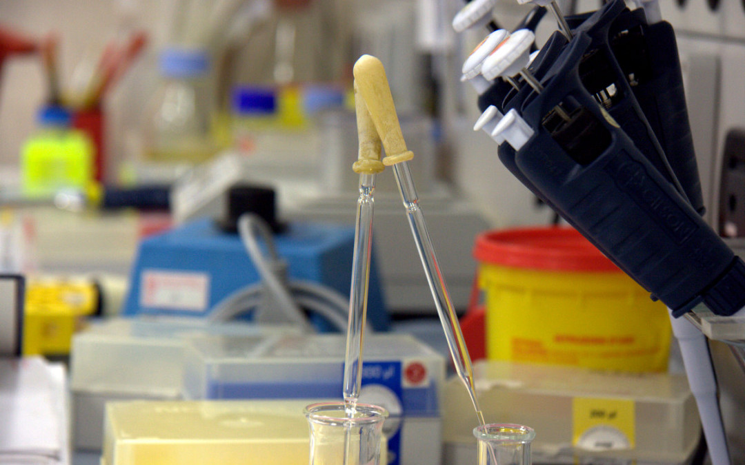 Test genetici: il parere del CNB sugli impatti bioetici degli “Incidental Findings”
