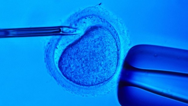 Traffico illecito di ovuli: i biocrimini anche in Italia