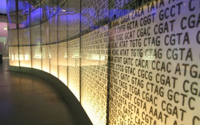 Il Dna come hard-disk: la pennetta USB del futuro