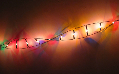 Nuove terapie: pezzi di Dna come farmaci per curare le malattie