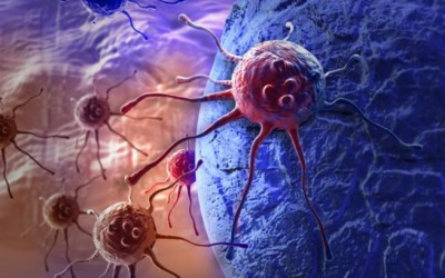 Hackerare le cellule e riprogrammarle per curare i tumori? Possibile