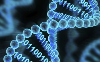 Soluzione anti fake? Il DNA digitale per Twitter e non solo